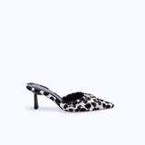 LILITH KITTEN - DALMATIAN - manc