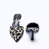 LILITH KITTEN - DALMATIAN