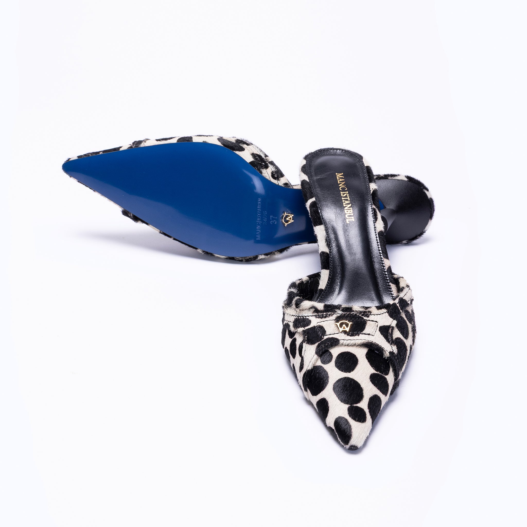 LILITH KITTEN - DALMATIAN - manc